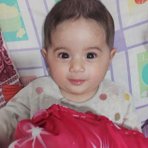 فروشگاه مهوا